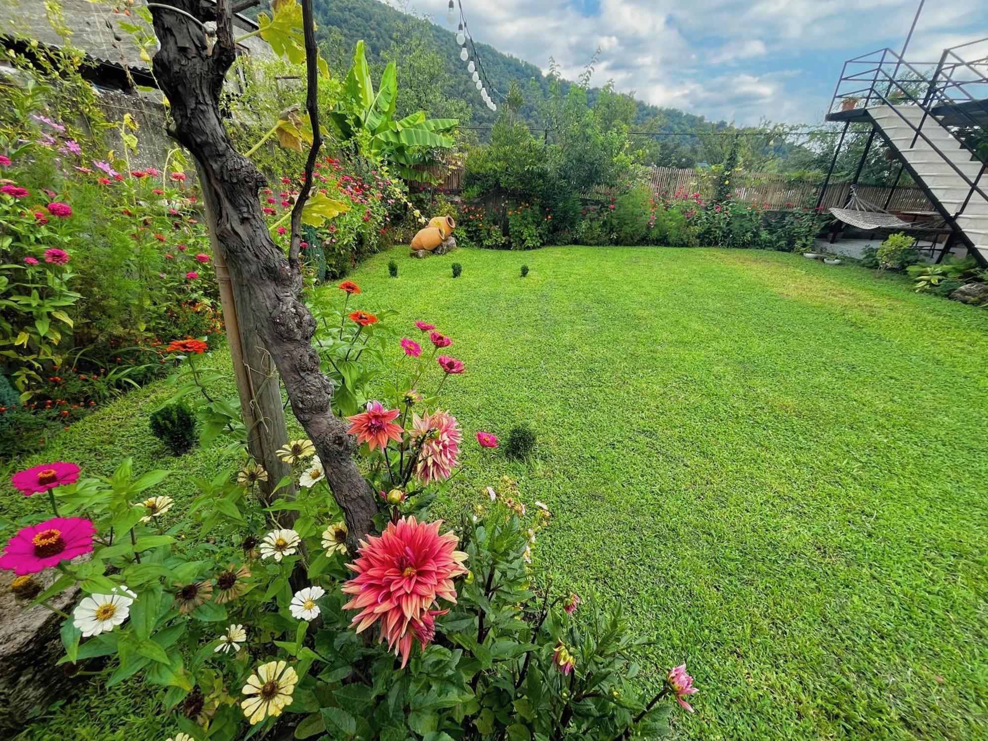 Mountain View Hotel Lagodekhi Bagian luar foto