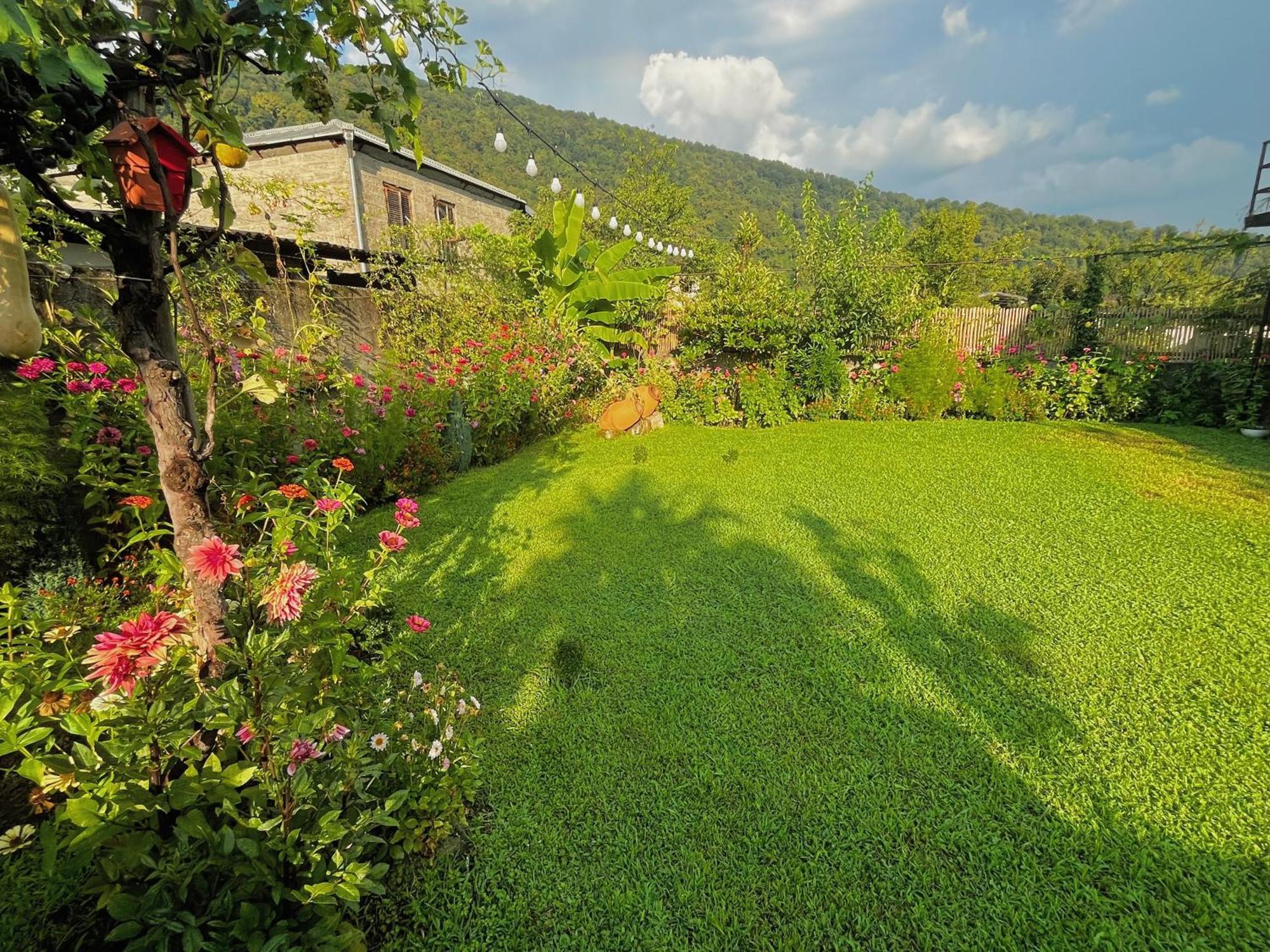 Mountain View Hotel Lagodekhi Bagian luar foto